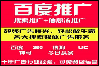 百度推广成功案例：打造行业领军品牌之路